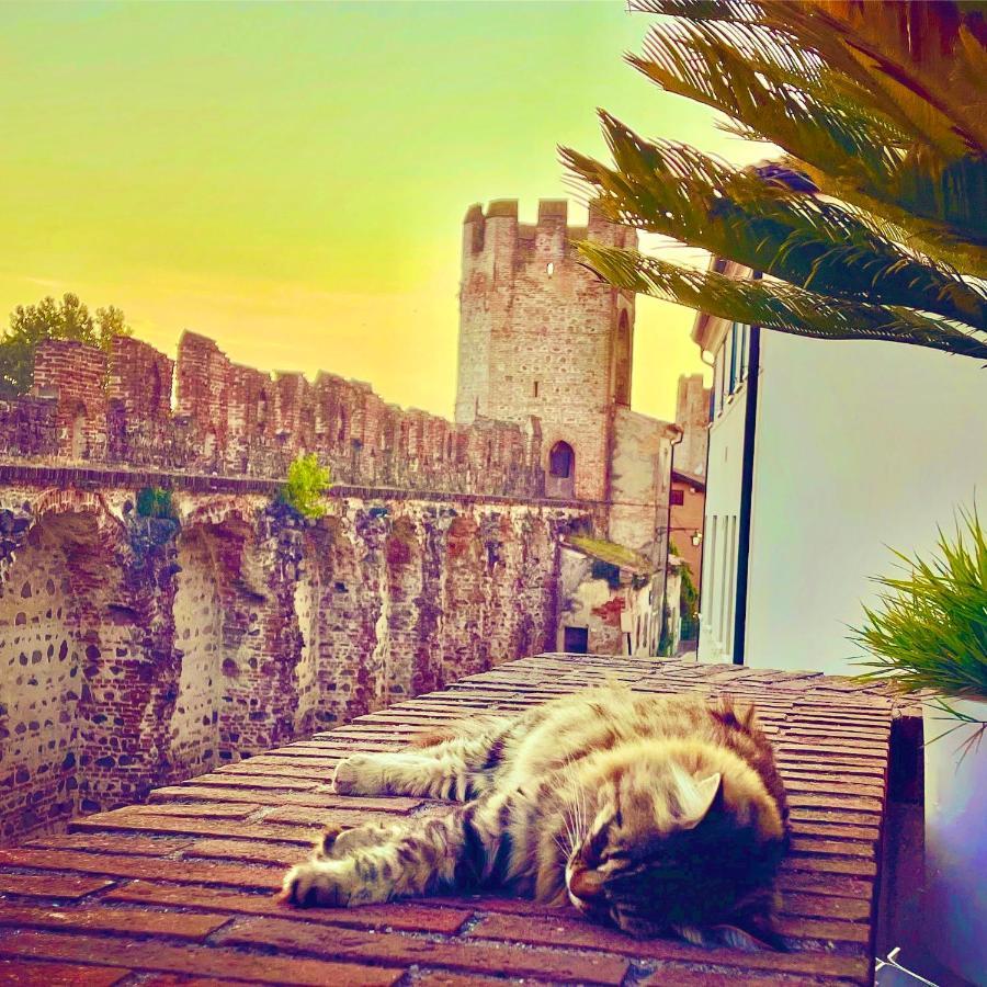 モンタニャーナCa' Del Sole - Attico Panoramico In Centro Storicoアパートメント エクステリア 写真
